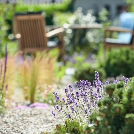 Elsas Enkel - Lotte Apartament *